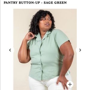 Big Bud Press Honeycomb Button Up size 4xl Sage Green